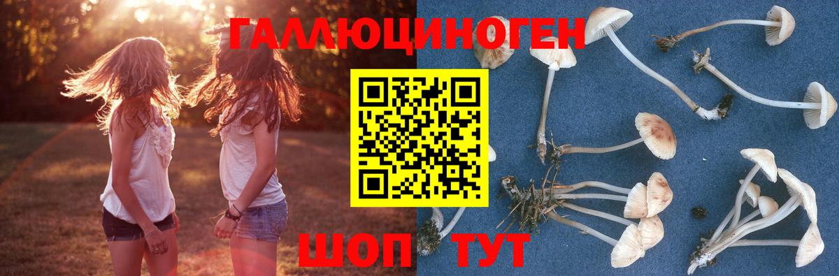 Галлюциногенные грибы Psilocybine cubensis  Вход с VPN  Павлово 